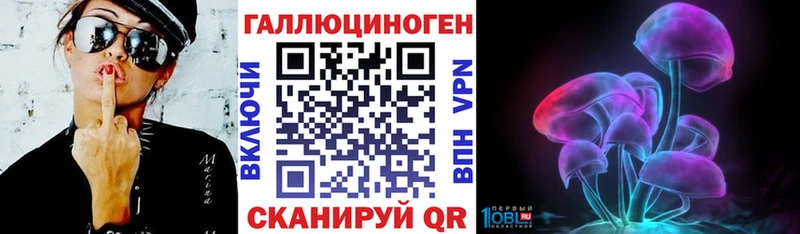 Псилоцибиновые грибы Psilocybe  Купить закладки  Верхняя Пышма 